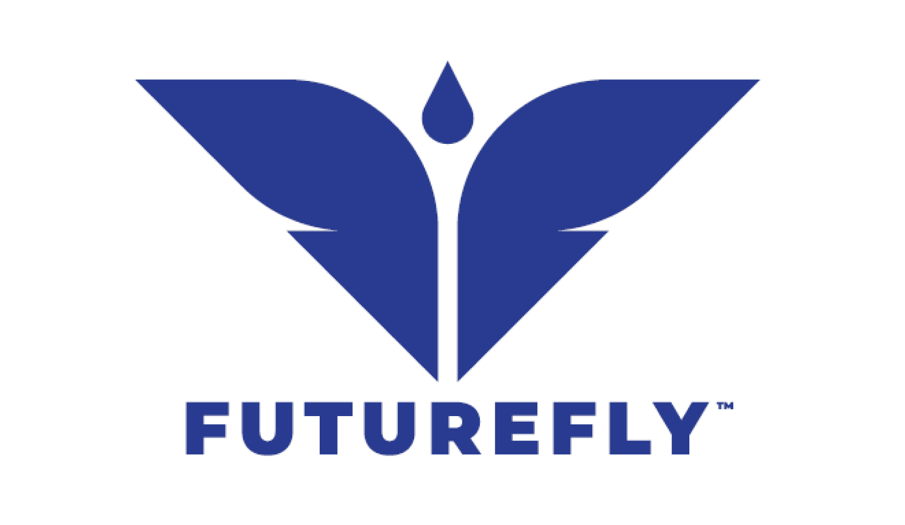 FutureFly logo with blue stylized wing shapes and teardrop forming butterfly design above company name text