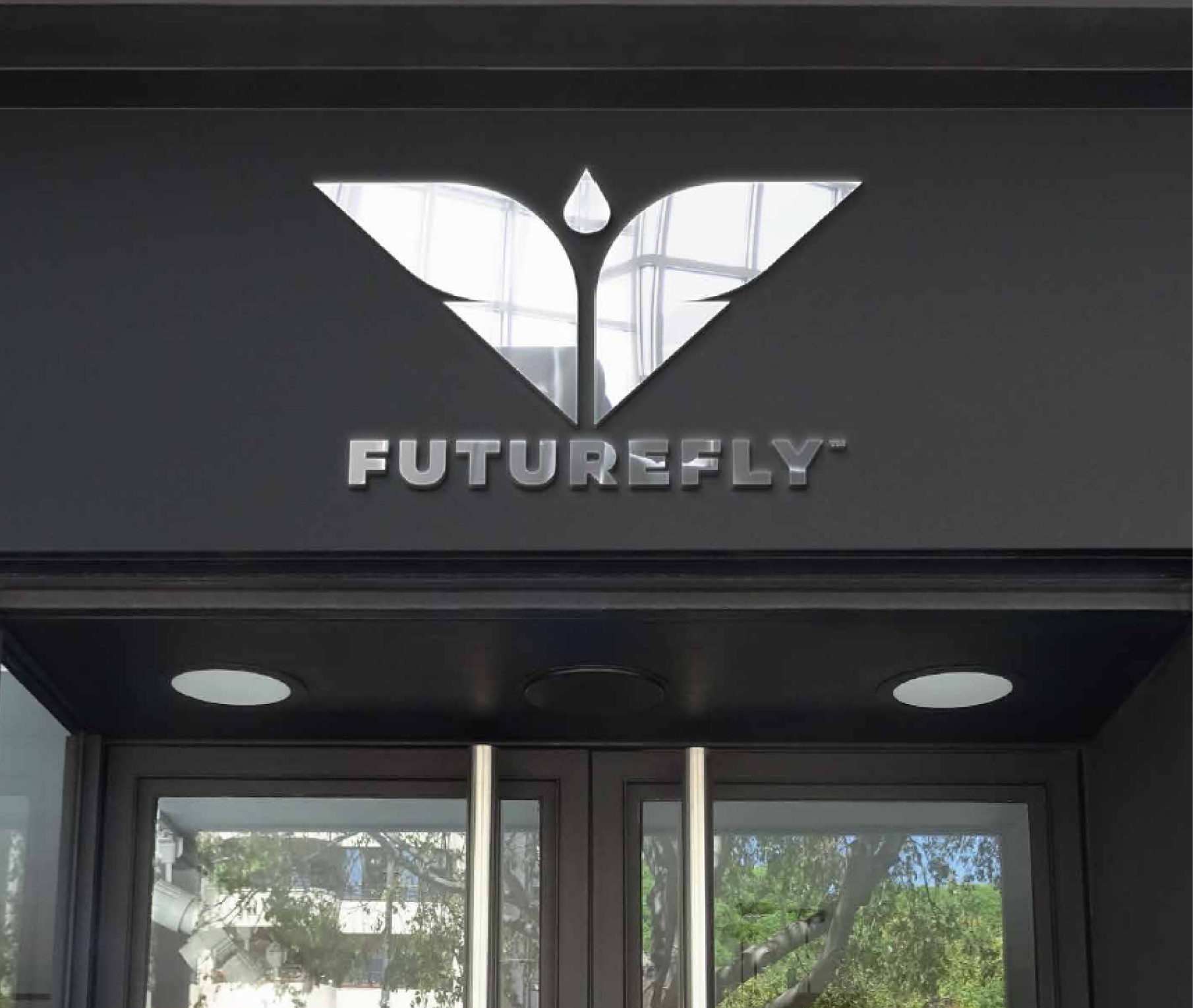 FutureFly logo cut-out in dark ceiling/wall allowing light through, creating illuminated butterfly design in commercial space