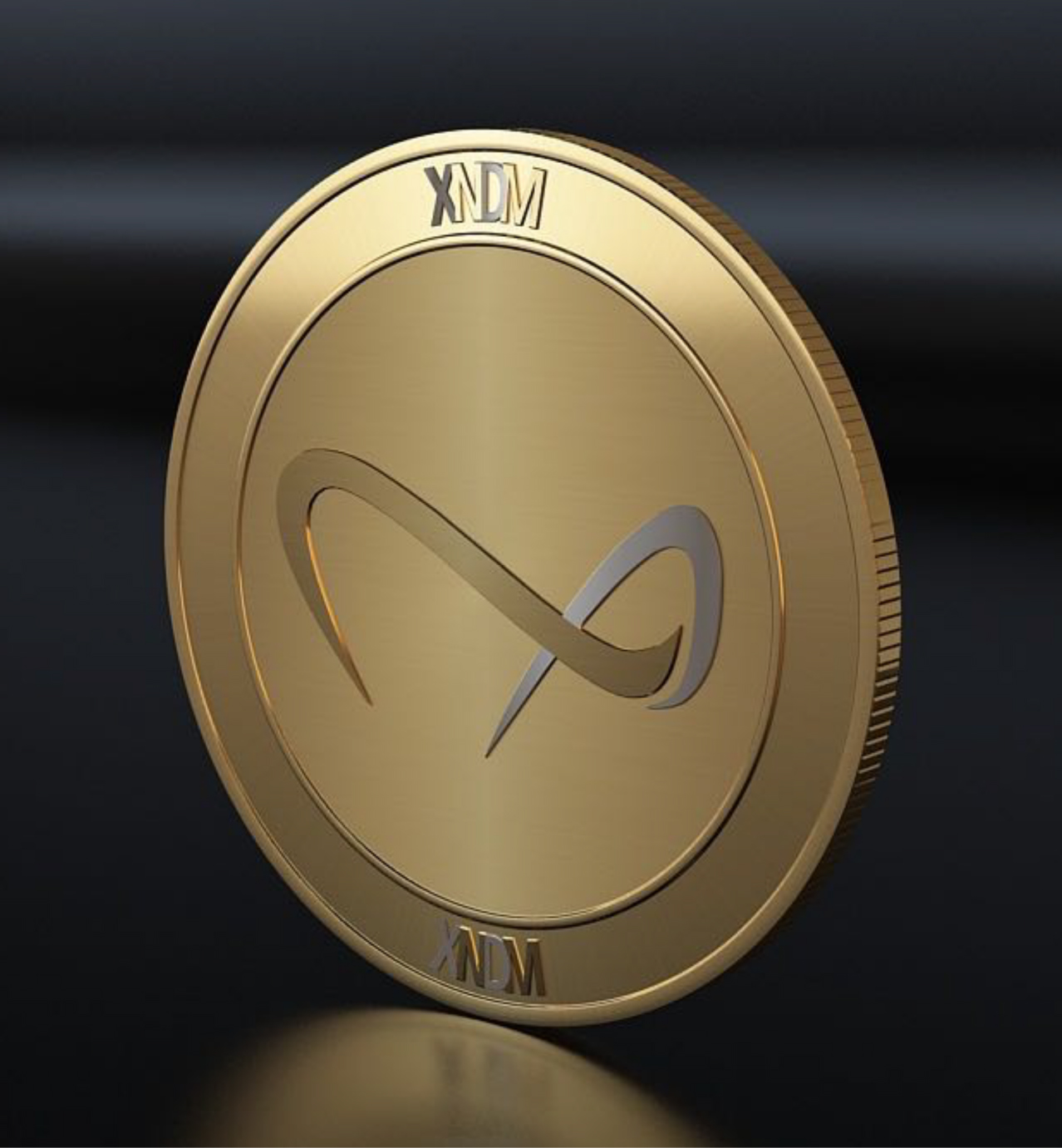 Gold coin featuring an infinity symbol and the letters "XNDM" engraved on the top and bottom edges.